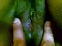 Bhabhi hairy cunt exposed to camera