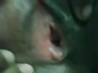 Spread small indian pussy